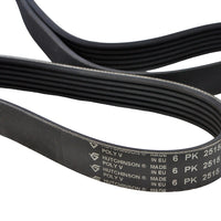 Correa trapecial