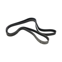 Correa trapecial