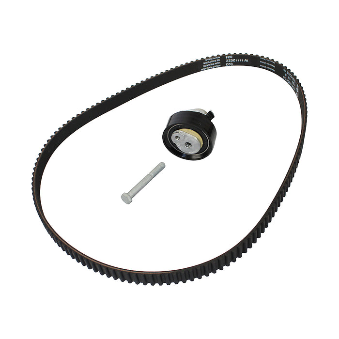 Kit de distribucion polea