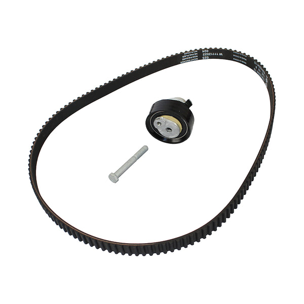 Kit de distribucion polea