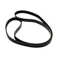 Correa trapecial poli V
