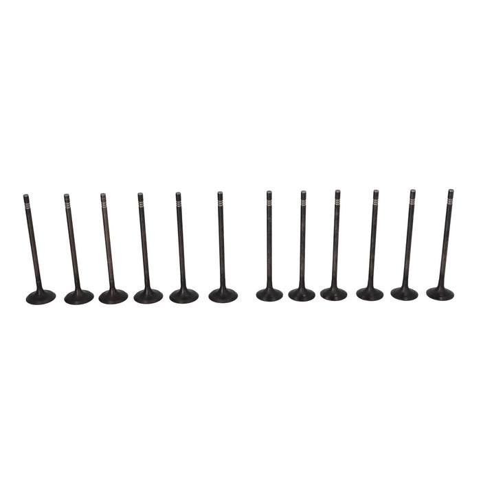 Kit 12 valvulas 6 admision 6 escape