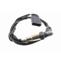 Sensor de oxigeno