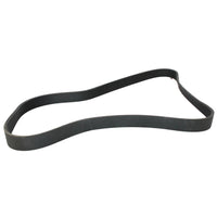 Banda principal accesorios alternador