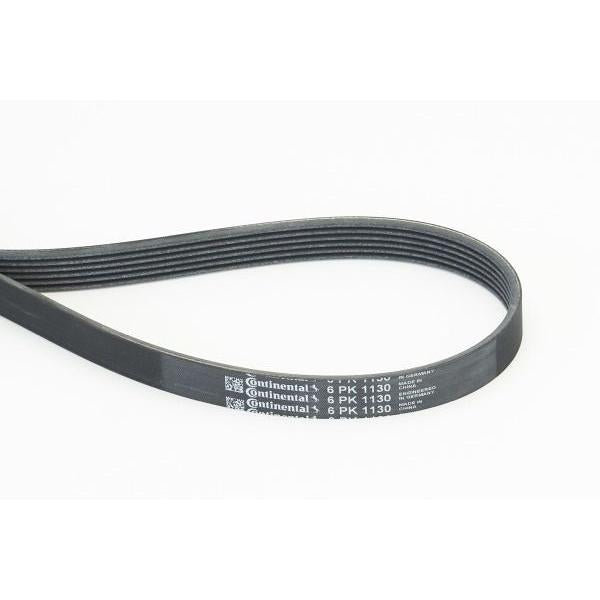 Correa trapecial