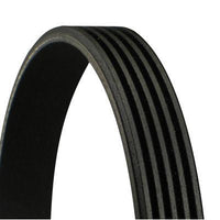 Correa Trapecial