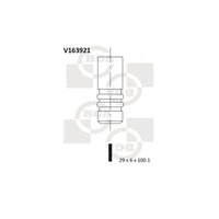 Valvula de escape