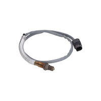 Sensor de oxigeno