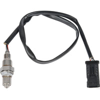 Sensor de oxígeno