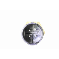 Sensor de temperatura del antingelante