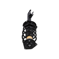 Kit de amortiguador con resorte base tope y cubre polvo delantero bilateral