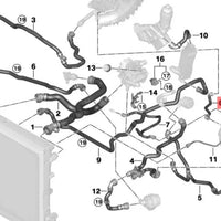 Manguera del deposito de anticongelante auxiliar