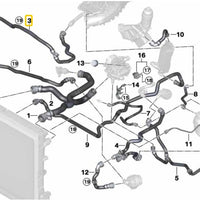 Manguera de radiador inferior derecha
