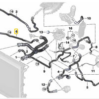 Manguera de radiador inferior derecha