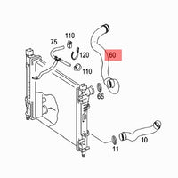 Manguera de radiador superior izquierda