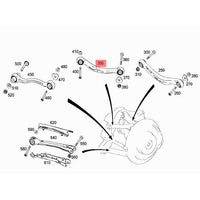 Brazo superior trasero derecho