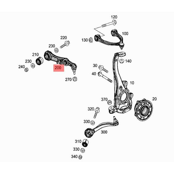 Rotula de brazo infeior delantero bilateral