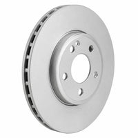 Disco delantero bilateral ventilado 295mm