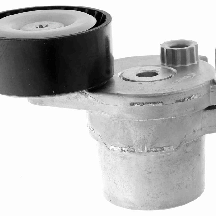 Tensor de la banda de motor