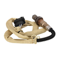 Sensor de oxigeno