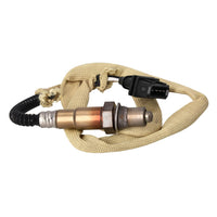 Sensor de oxigeno