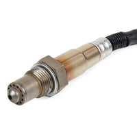Sensor de oxigeno
