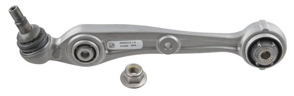 Brazo inferior delantero izquierdo