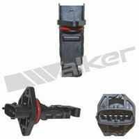 Sensor maf