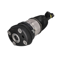 Amortiguador con bolsa trasero izquierdo