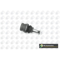 Rotula de brazo infeior delantero bilateral
