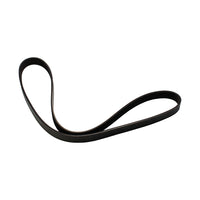 Banda principal accesorios alternador