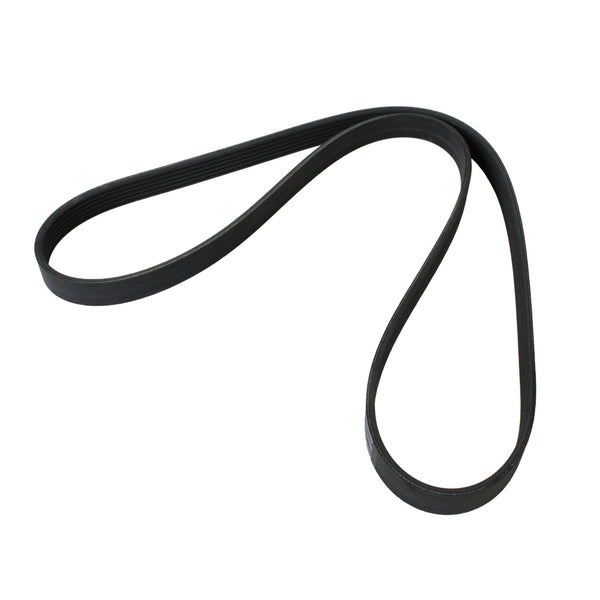 Correa Trapecial