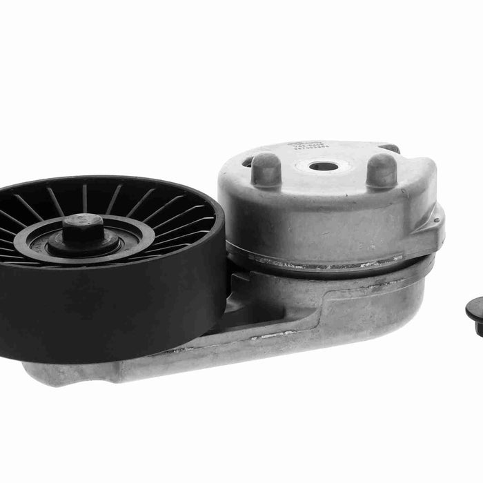 Tensor de la banda de motor